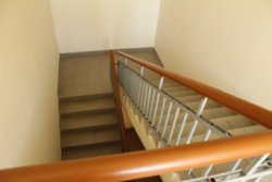 ������ ������������ ��������� ���� 29