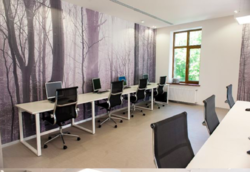 ������ ����� ���� 7