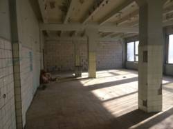 ������� ������ ������������, �����������, �����������, ���-�������� ���� 8