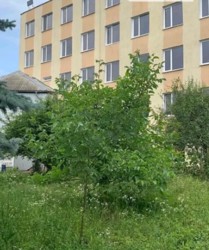 ������� ������ - ���������������� ������ � ������ ���� 2