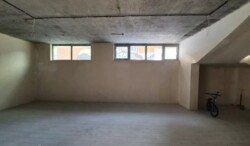 ������� ������ �������������� ϳ�����, �����������, �����������, ����� ���� 12