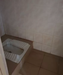 ������� ������ �������� ���������, 17, �����������, �����������, ���-�������� ���� 9