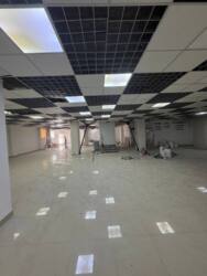 ������� ����� ���� 11