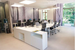 ������ ����� ���� 8