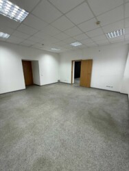 ������� ��'��� ������� ���������, 11�, ���, ������������, �. ˳��������� ���� 4