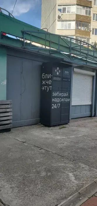 ������ ���� ����������� ���� 1