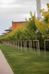 Оренда виробничо складських приміщень фото 16 Оренда виробничо складських приміщень фото 16