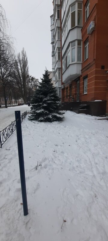 Аренда помещения в Центре код №1568612 фото 1 Аренда помещения в Центре код №1568612 фото 1