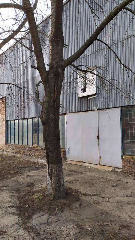 Аренда складского помещения на Алмазном код № 1546130 фото 1 Аренда складского помещения на Алмазном код № 1546130 фото 1