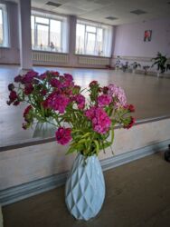 Зал для фитнеса танцев занятий групповые индивидуальные. код № 15-109-242 фото 8 Зал для фитнеса танцев занятий групповые индивидуальные. код № 15-109-242 фото 8