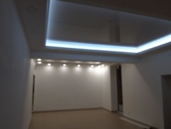      1555499  4