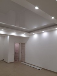      1555499  3