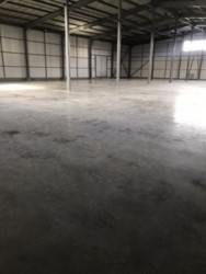     1550246  5