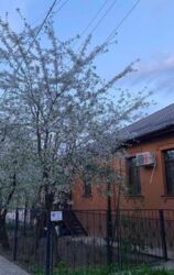 ������ �������� ��������� � ����������� ������� ���� ��� � 15-121-742 ���� 2