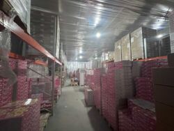 ������ ��������� ������ � ������� ���� 4