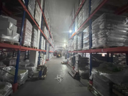 ������ ��������� ������ � ������� ���� 8