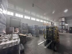 ������ ��������� ������ � ������� ���� 11