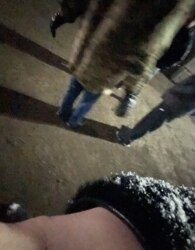 ������� ���������� ��������� �� ���. �������� ������, ����� 2176 ��.� ���� 5