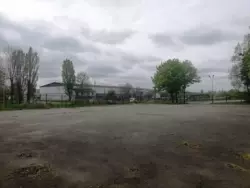   ,    8