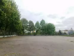   ,    10
