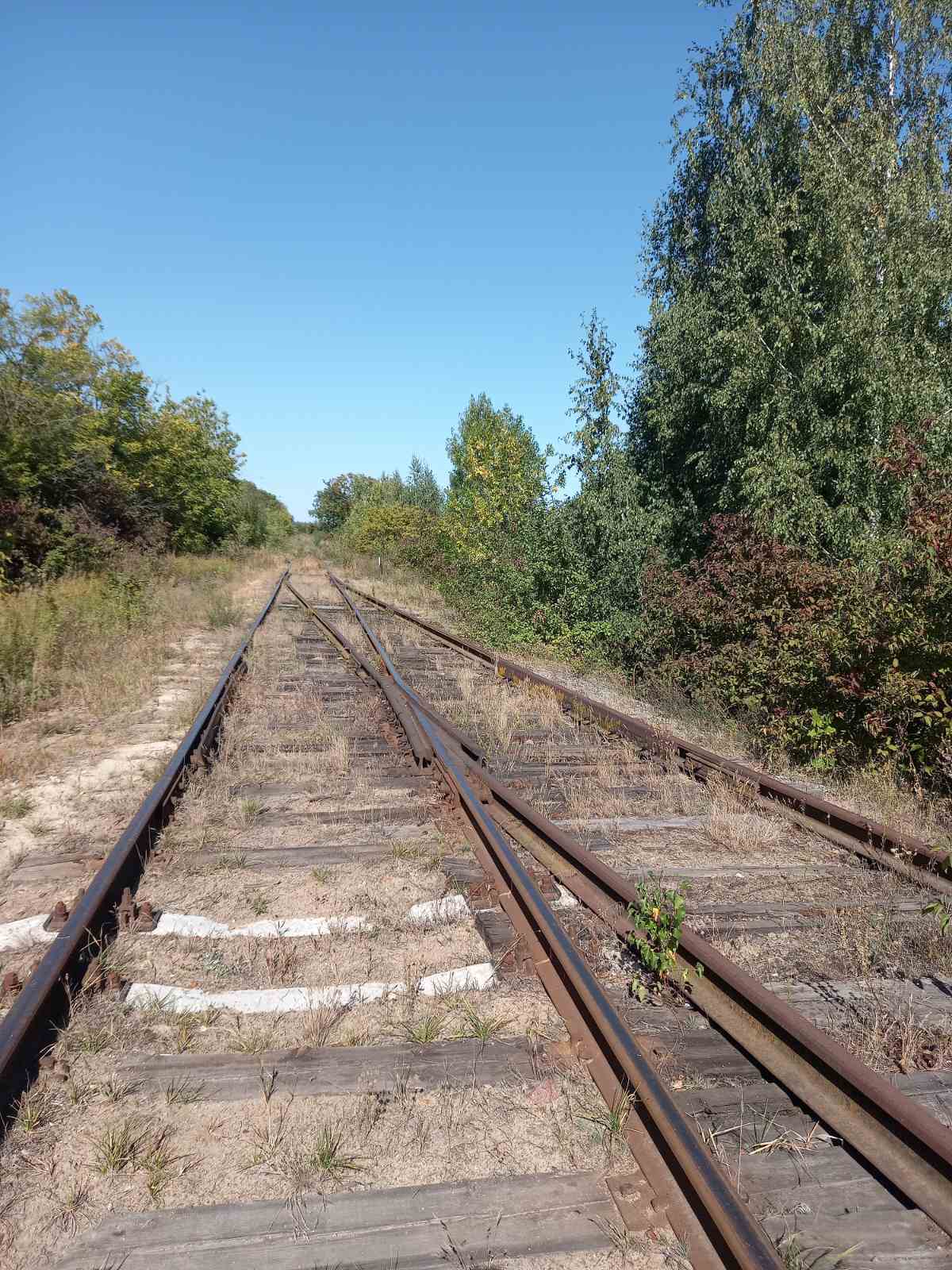 , ,   1