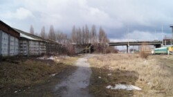 ������� ������ ���������, �����������, �����������, ����� ����� ���� 7