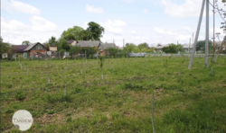 Оренда-співробітництво виробничо-складського приміщення с. Копистин. фото 41 Оренда-співробітництво виробничо-складського приміщення с. Копистин. фото 41