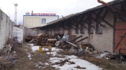 ������� ������ ���������, �����������, �����������, ����� ����� ���� 2