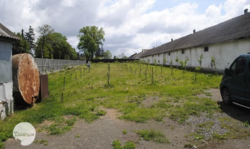 Оренда-співробітництво виробничо-складського приміщення с. Копистин. фото 35 Оренда-співробітництво виробничо-складського приміщення с. Копистин. фото 35