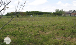 Оренда-співробітництво виробничо-складського приміщення с. Копистин. фото 42 Оренда-співробітництво виробничо-складського приміщення с. Копистин. фото 42