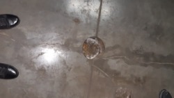    2000 2 , .  6