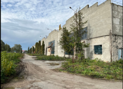 ������ ���������-����������� �������� ���� 6