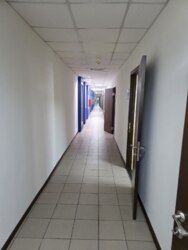  , ,   8