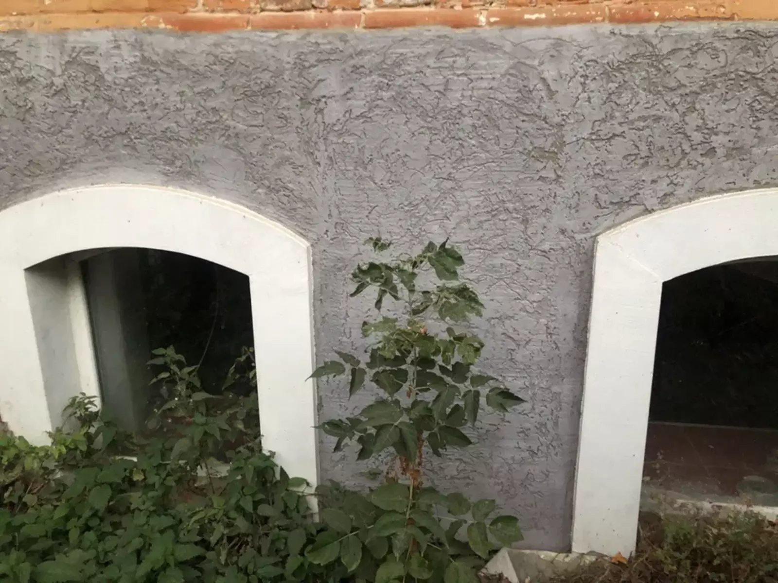 Сдается объект Сумская, Сумы, Ковпаковский, Центр / цокольне фото 1 Сдается объект Сумская, Сумы, Ковпаковский, Центр / цокольне фото 1