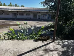 Сдается объект Сумская, Сумы, Ковпаковский фото 3 Сдается объект Сумская, Сумы, Ковпаковский фото 3