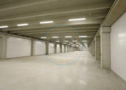 Аренда склада класса А трасса Е-40 Киев-Житомир складской мезонин доки рампа село Колонщина Березовка Севериновка Копылов Калиновка Мила Стоянка Киевская область стеллажи аренда Оренда складу класу А складський мезонін доки рампа село Колонщина Березівк Новый склад трасса Е-40 Киев-Житомир прямая аренда от владельца без комиссионных село КолонщинаНовий склад траса Е-40 Київ-Житомир пряма оренда від власника без комісійних село Колонщина