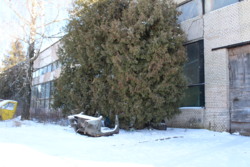 Оренда складського приміщення фото 8 Оренда складського приміщення фото 8