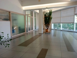 ���� � ������ ���� (110�2) �� ��������, ����� ������ ���� 4