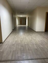  , 41,5 ., -,   1