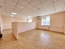 ������ ������� �������� 333,50 �2 �� ������ �������� ���� 11