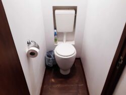   , ,  ., 4, .    20