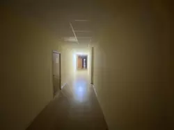  430 .,  , ,     10