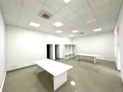   , ,  ., 19, .     7