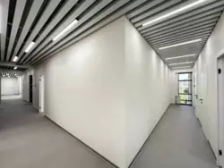   , ,   ., 41, .    5