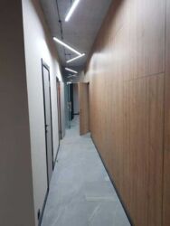    Royal Tower, . , 37  3