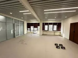   , ,   ., 41, .    13