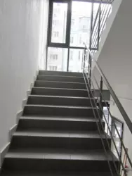   , ,  ., 14, .   14