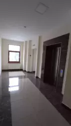   , ,  ., 40/85, .     12