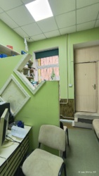 ������ ����� � ����� ���� 4