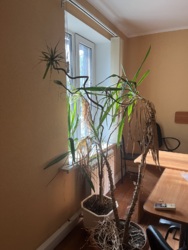 ���� ���� � ������ ���� 4